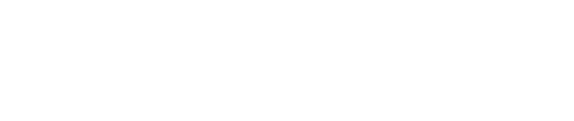Voltforge Solutions
